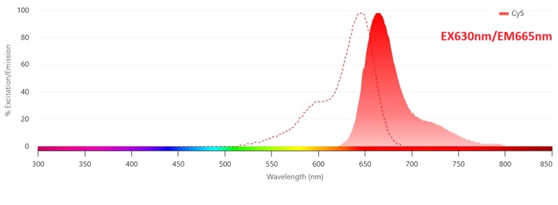 EX630nm/EM665nm