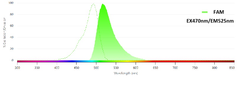 EX470nm/EM525nm