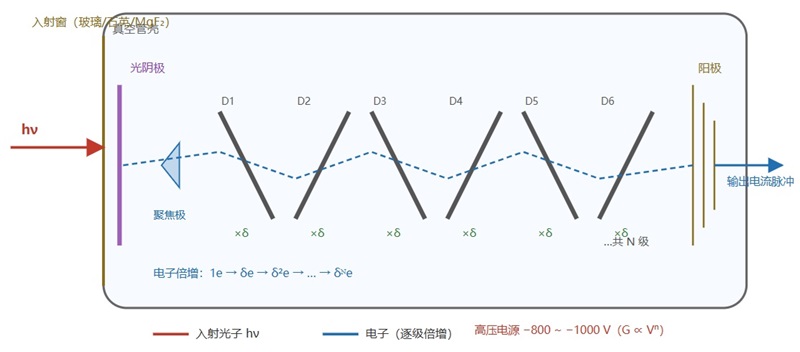 PMT光电倍增管